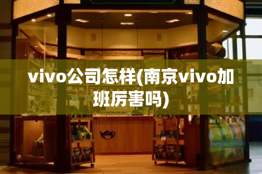 vivo公司怎样(南京vivo加班厉害吗)-第1张图片-星选测评