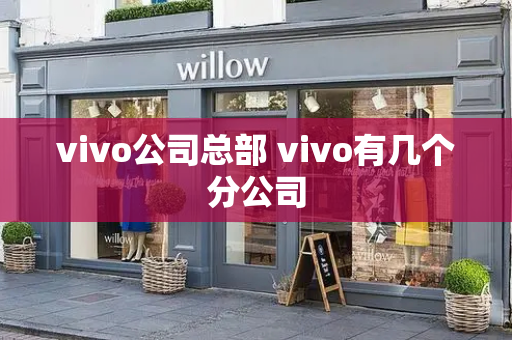 vivo公司总部 vivo有几个分公司