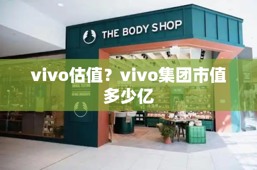 vivo估值？vivo集团市值多少亿-第1张图片-星选测评