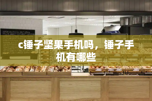 c锤子坚果手机吗，锤子手机有哪些-第1张图片-星选测评