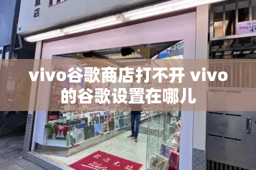 vivo谷歌商店打不开 vivo的谷歌设置在哪儿-第1张图片-星选测评