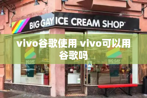 vivo谷歌使用 vivo可以用谷歌吗