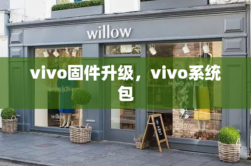 vivo固件升级，vivo系统包-第1张图片-星选测评