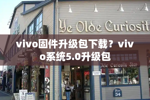 vivo固件升级包下载？vivo系统5.0升级包