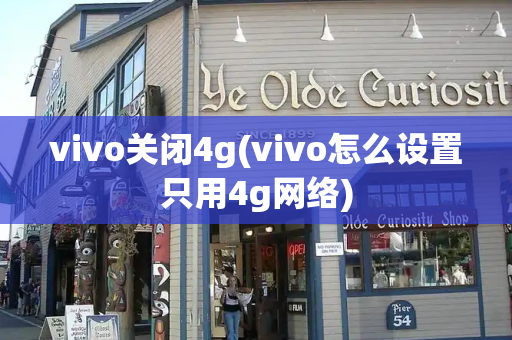 vivo关闭4g(vivo怎么设置只用4g网络)