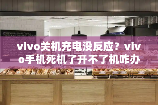 vivo关机充电没反应？vivo手机死机了开不了机咋办