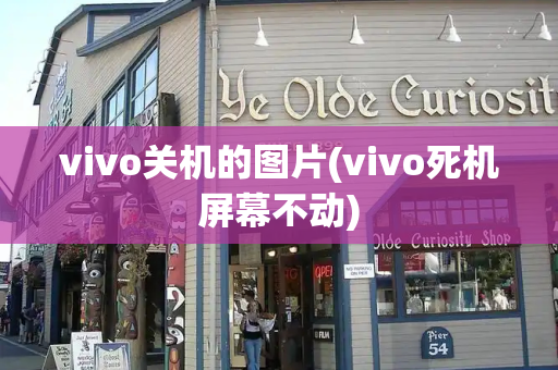 vivo关机的图片(vivo死机屏幕不动)