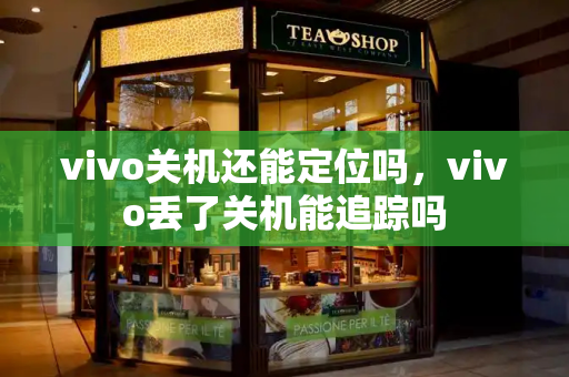 vivo关机还能定位吗，vivo丢了关机能追踪吗