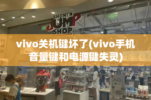 vivo关机键坏了(vivo手机音量键和电源键失灵)-第1张图片-星选测评
