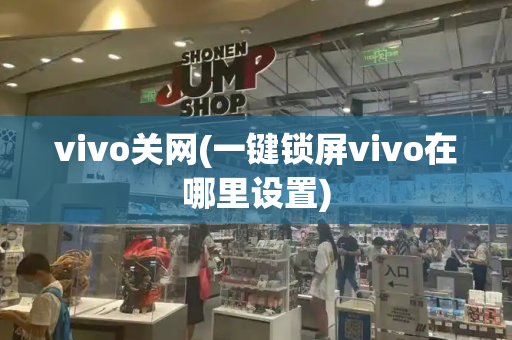 vivo关网(一键锁屏vivo在哪里设置)