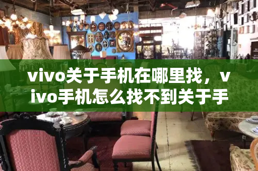vivo关于手机在哪里找，vivo手机怎么找不到关于手机-第1张图片-星选测评