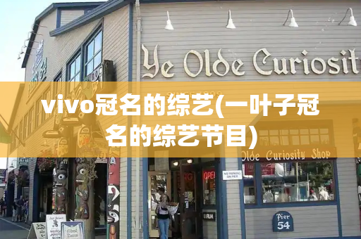 vivo冠名的综艺(一叶子冠名的综艺节目)