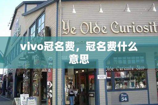 vivo冠名费，冠名费什么意思