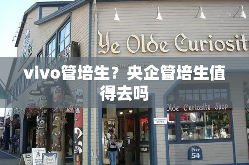 vivo管培生？央企管培生值得去吗