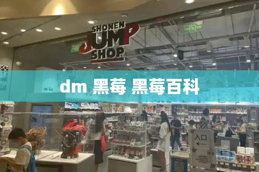 dm 黑莓 黑莓百科