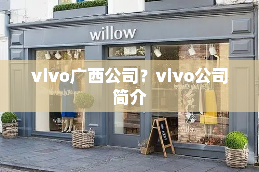 vivo广西公司？vivo公司简介