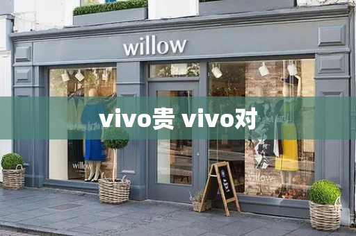 vivo贵 vivo对-第1张图片-星选测评