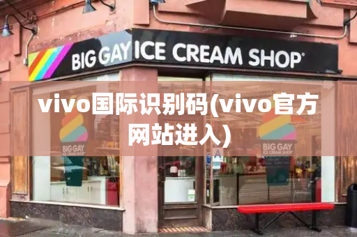 vivo国际识别码(vivo官方网站进入)