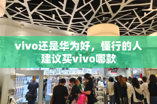 vivo还是华为好，懂行的人建议买vivo哪款-第1张图片-星选测评