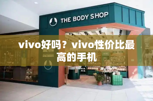 vivo好吗？vivo性价比最高的手机-第1张图片-星选测评