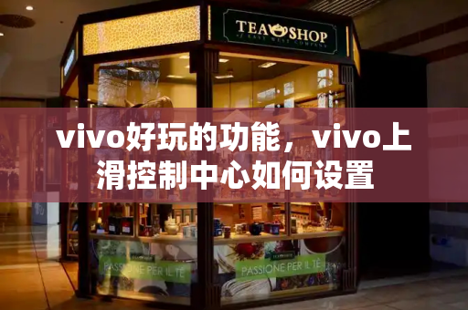 vivo好玩的功能，vivo上滑控制中心如何设置-第1张图片-星选测评