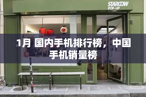 1月 国内手机排行榜，中国手机销量榜