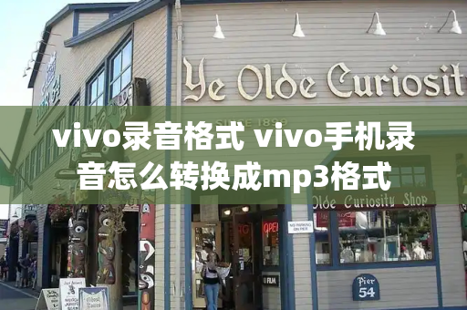vivo录音格式 vivo手机录音怎么转换成mp3格式
