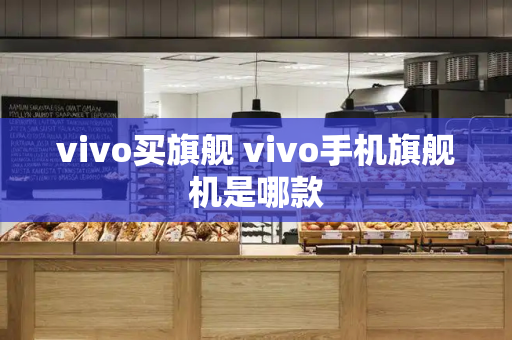 vivo买旗舰 vivo手机旗舰机是哪款
