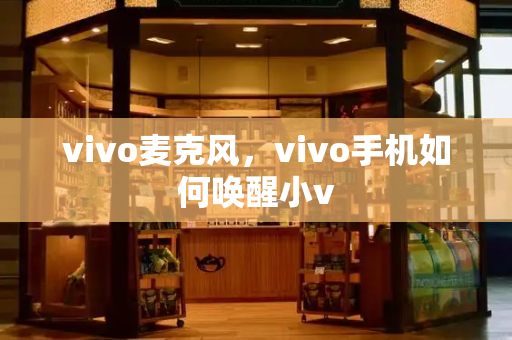 vivo麦克风，vivo手机如何唤醒小v-第1张图片-星选测评