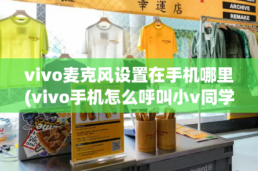 vivo麦克风设置在手机哪里(vivo手机怎么呼叫小v同学)-第1张图片-星选测评