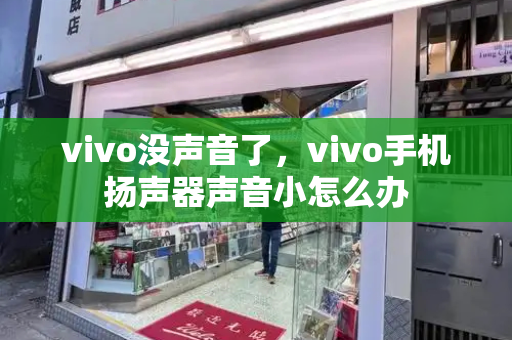 vivo没声音了，vivo手机扬声器声音小怎么办