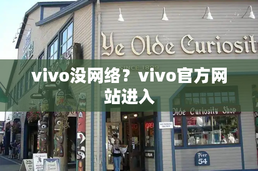 vivo没网络？vivo官方网站进入
