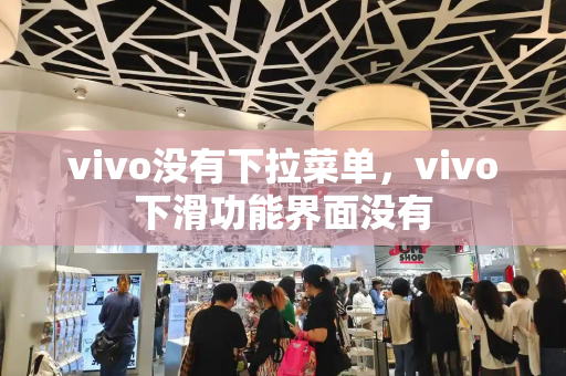 vivo没有下拉菜单，vivo下滑功能界面没有-第1张图片-星选测评