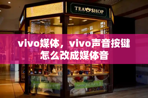 vivo媒体，vivo声音按键怎么改成媒体音