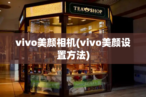 vivo美颜相机(vivo美颜设置方法)-第1张图片-星选测评