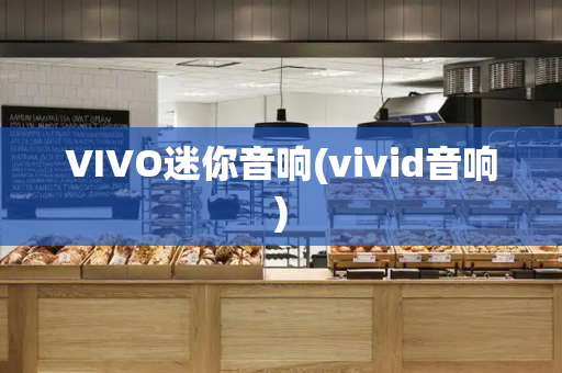 VIVO迷你音响(vivid音响)-第1张图片-星选测评