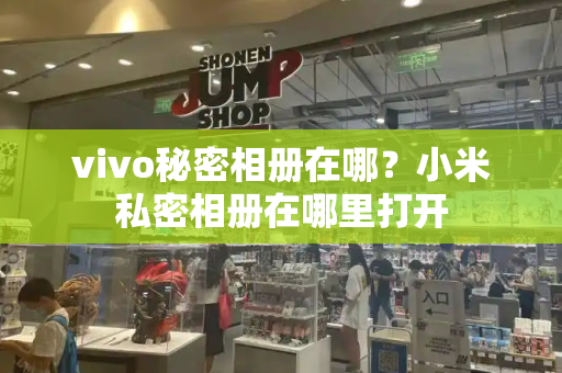 vivo秘密相册在哪？小米私密相册在哪里打开-第1张图片-星选测评