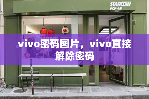 vivo密码图片，vivo直接解除密码-第1张图片-星选测评