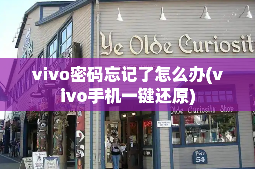 vivo密码忘记了怎么办(vivo手机一键还原)-第1张图片-星选测评