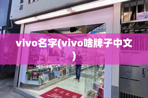 vivo名字(vivo啥牌子中文)