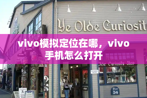 vivo模拟定位在哪，vivo手机怎么打开