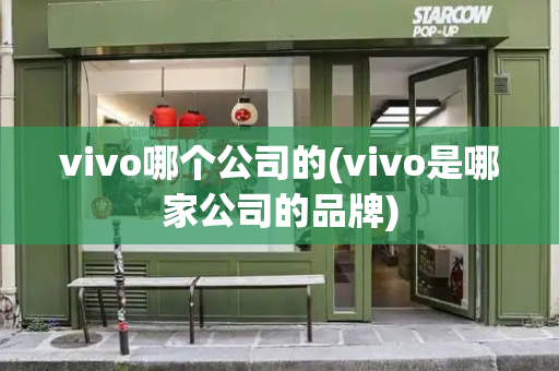 vivo哪个公司的(vivo是哪家公司的品牌)