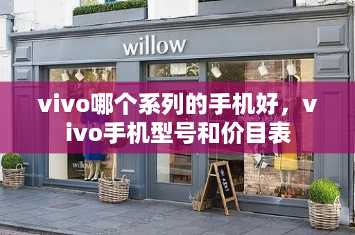 vivo哪个系列的手机好，vivo手机型号和价目表
