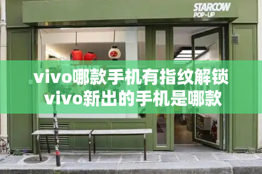 vivo哪款手机有指纹解锁 vivo新出的手机是哪款-第1张图片-星选测评