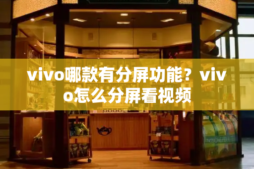 vivo哪款有分屏功能？vivo怎么分屏看视频-第1张图片-星选测评