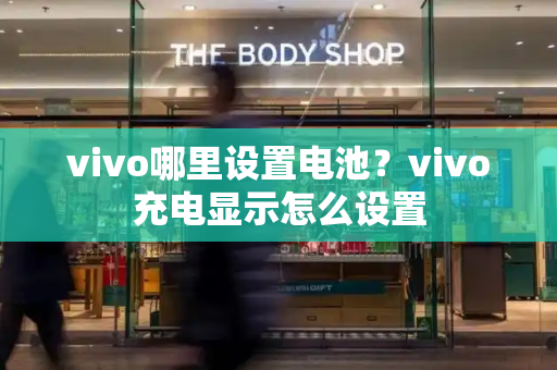 vivo哪里设置电池？vivo充电显示怎么设置-第1张图片-星选测评