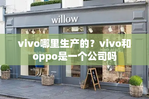 vivo哪里生产的？vivo和oppo是一个公司吗-第1张图片-星选测评