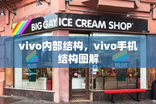 vivo内部结构，vivo手机结构图解-第1张图片-星选测评
