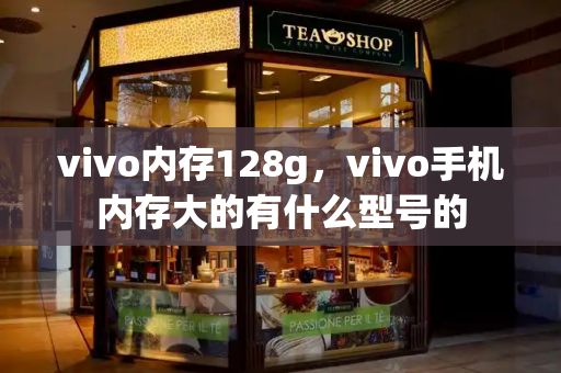 vivo内存128g，vivo手机内存大的有什么型号的-第1张图片-星选测评