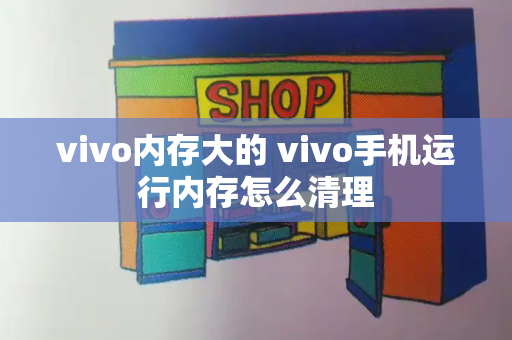vivo内存大的 vivo手机运行内存怎么清理